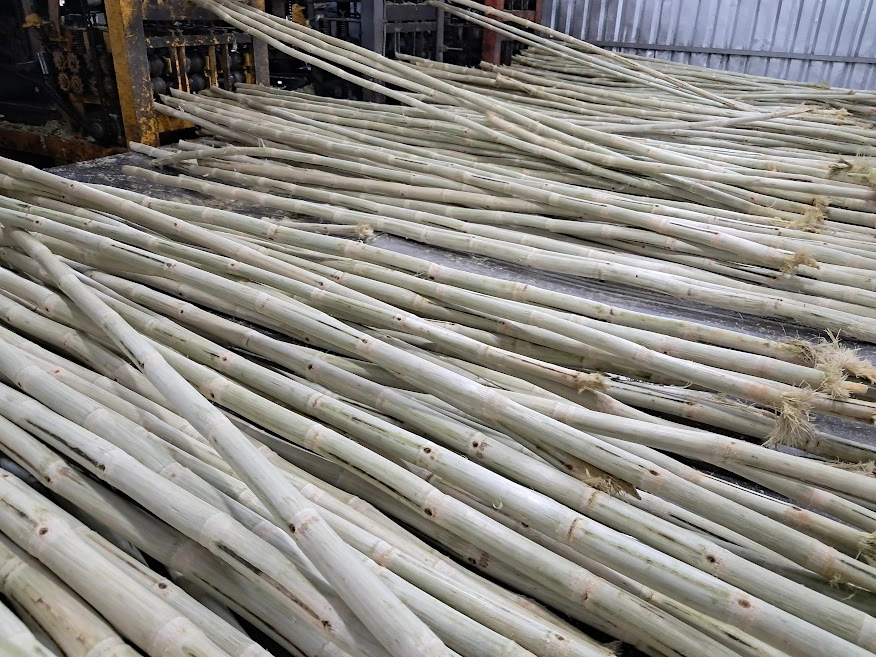 mia-dong-lanh-xuat-khau-My (2).jpg