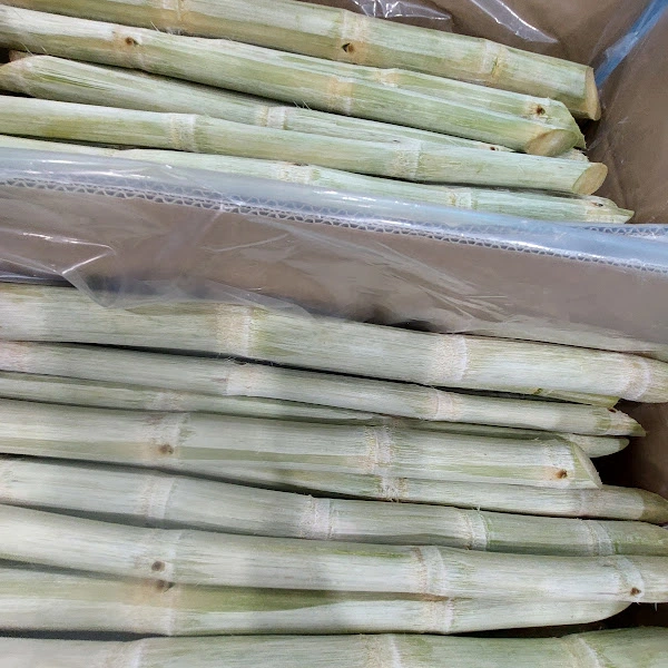 mia-xuat-khau-đi MY.jpg