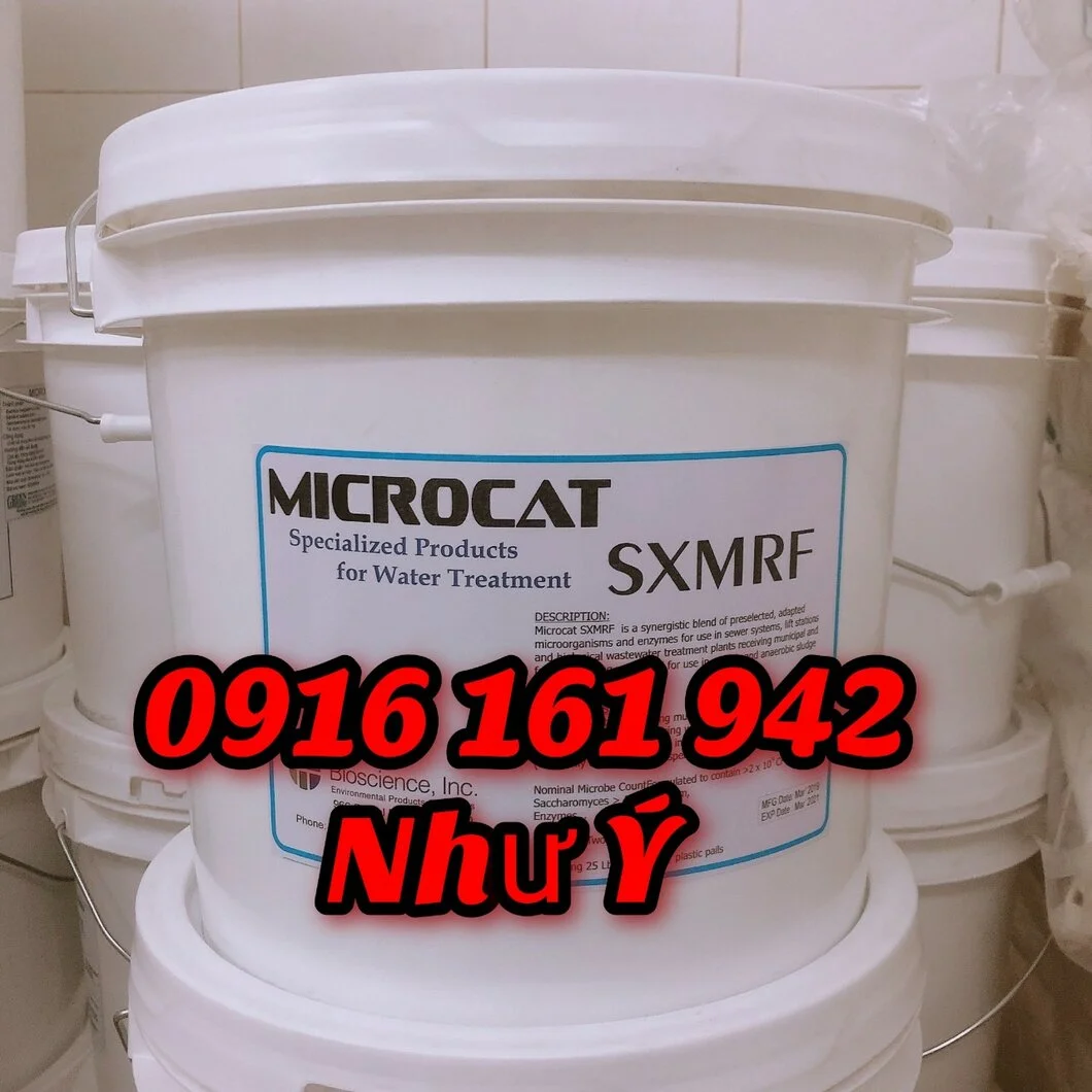 Microcat SXMRF.webp