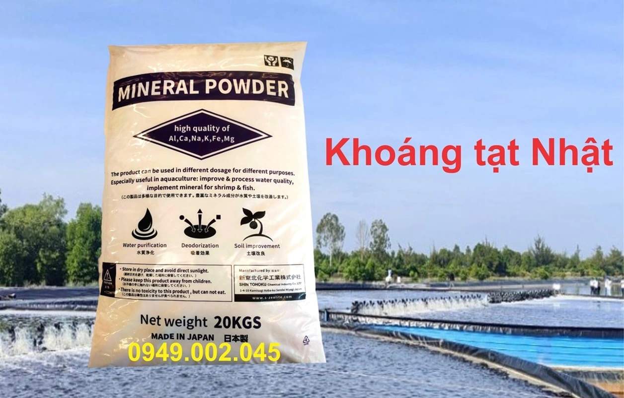 MINERAL POWDER 2.webp