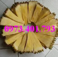 mit k hat1_result.webp