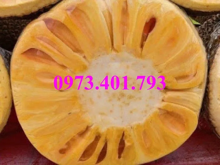 mit k hat2_result.webp