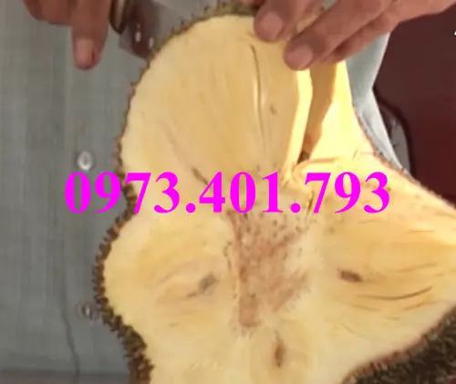 mit k hat3_result.webp