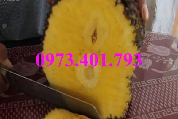 mit k hat_result.webp