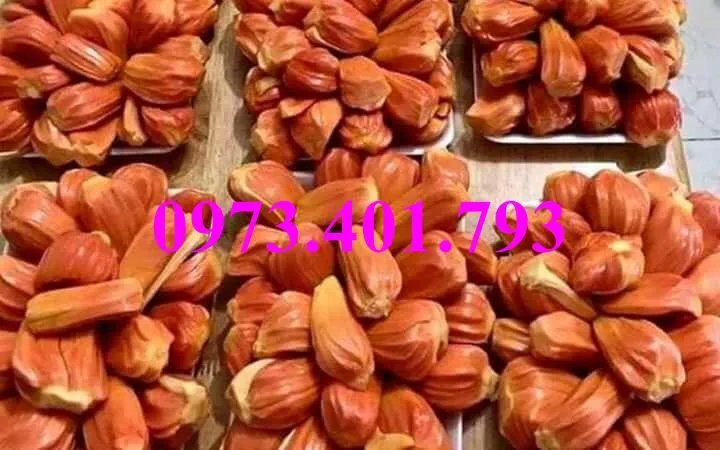 mit  ruot do_result.webp