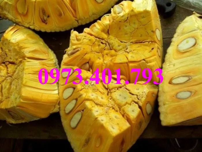 mit thai3_result.webp