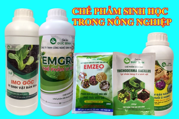Mot-so-loai-che-pham-sinh-hoc-cua-vinong-sinh-hoc-duc-binh.webp