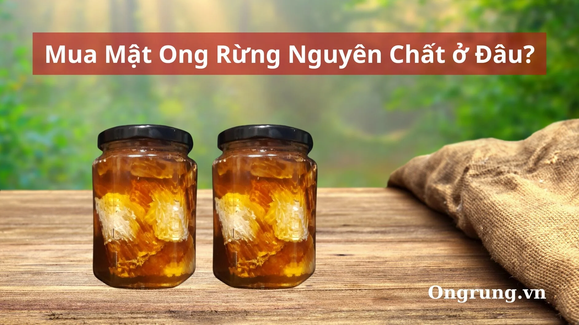 mua mật ong rừng nguyên chất ở đâu.jpg