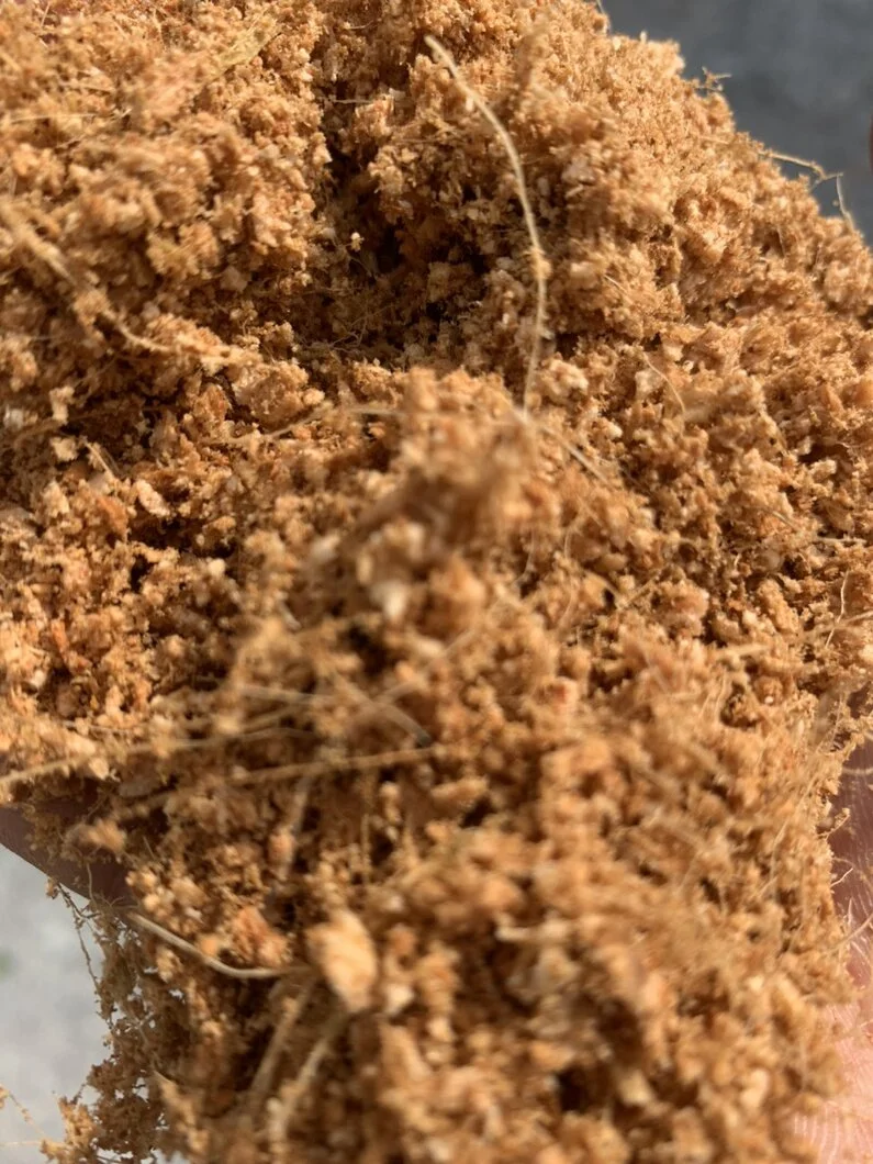 mun xo dua ben tre.webp