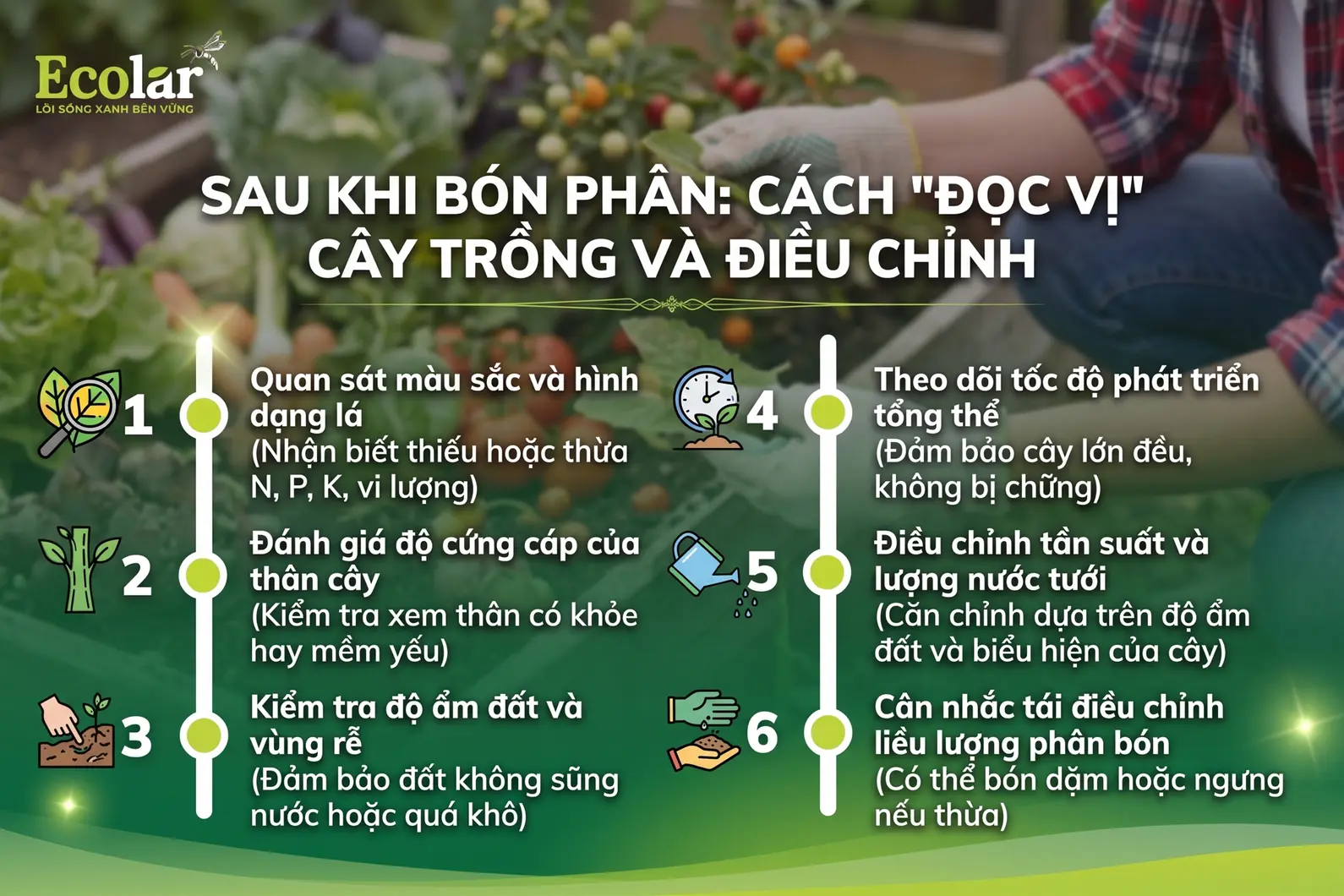 n-cach-doc-vi-cay-trong-va-dieu-chinh_a16786e6c50d4cb4be91ce2ad844d707.webp