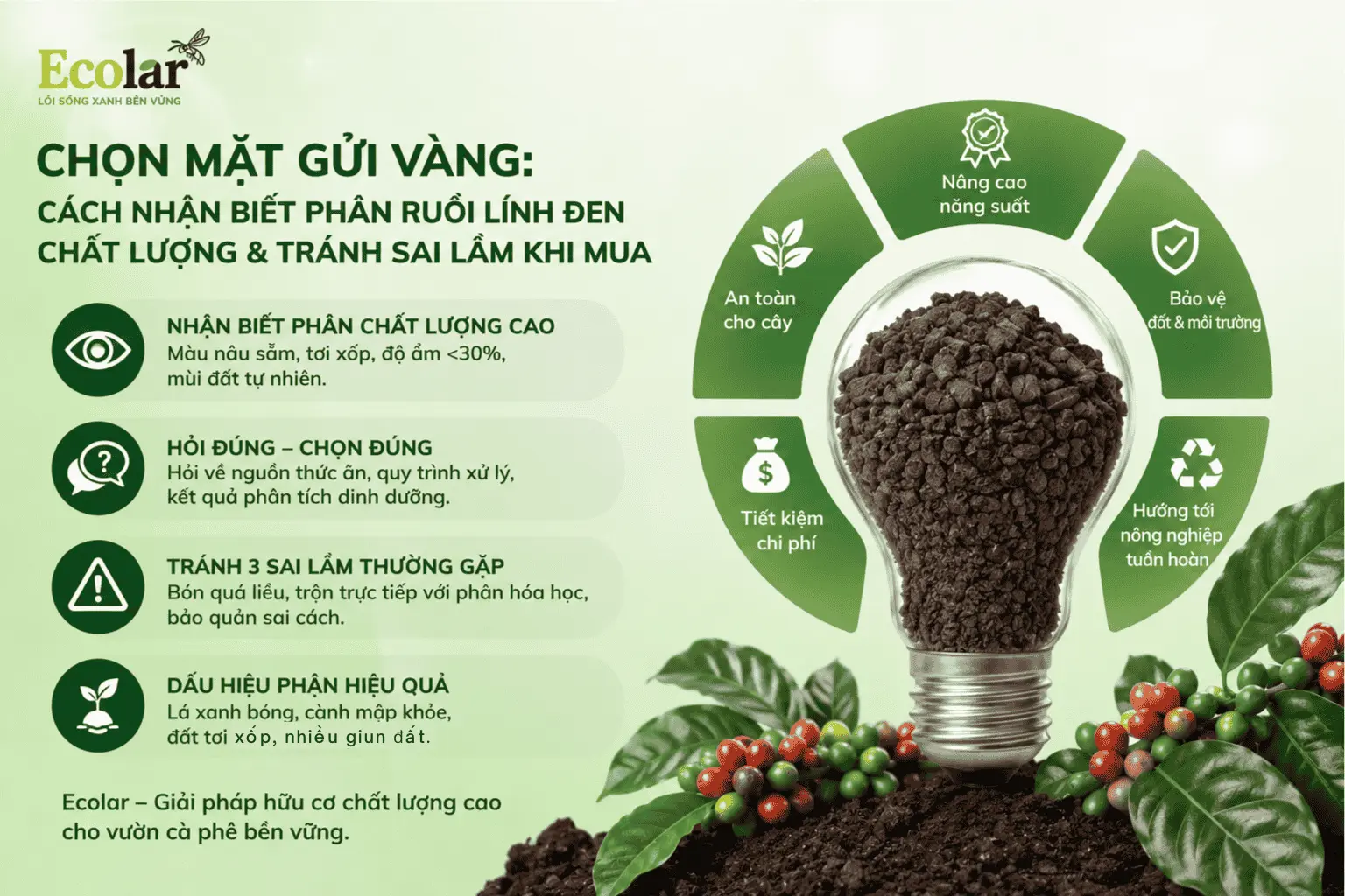 n-chat-luong-va-tranh-sai-lam-khi-mua_7189bbb23c044c7fa11b6c01d5bad624 (1).webp