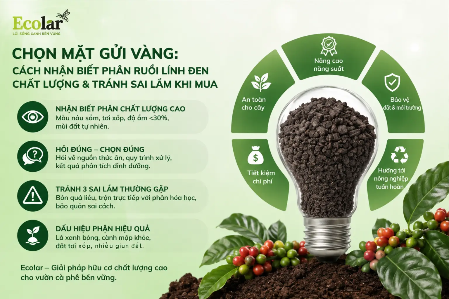 n-chat-luong-va-tranh-sai-lam-khi-mua_7189bbb23c044c7fa11b6c01d5bad624.webp