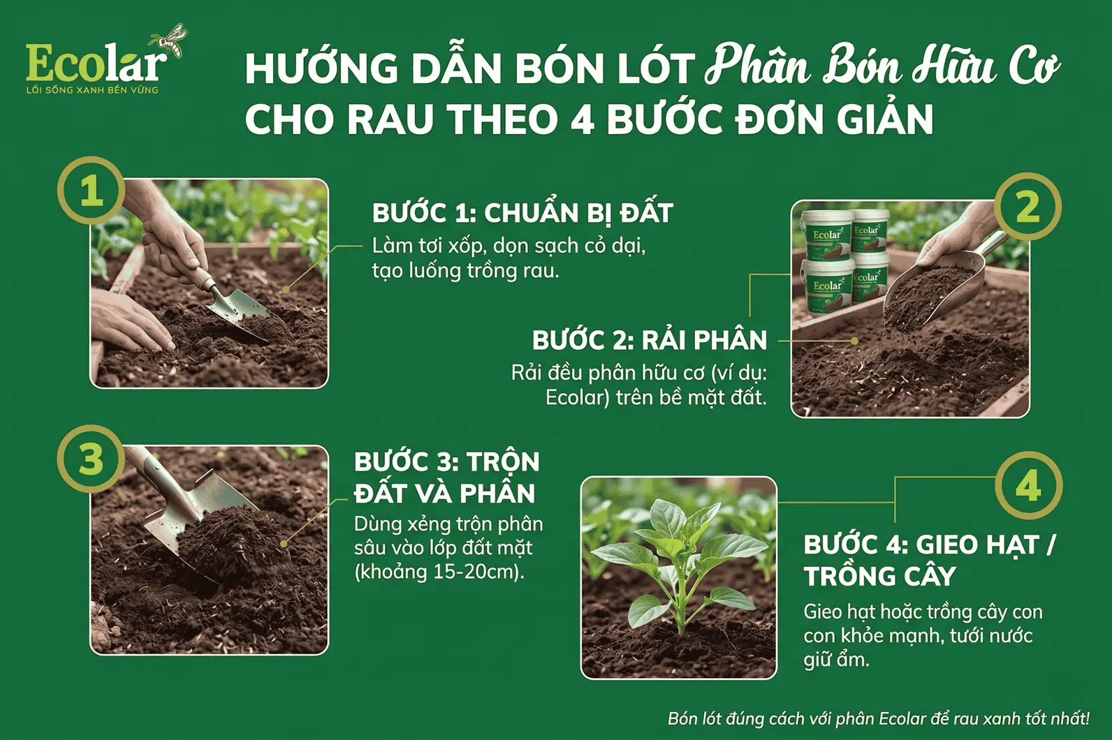 n-huu-co-cho-rau-theo-4-buoc-don-gian_260d0e791a97450e8e7e12387a3b4834 (1).webp