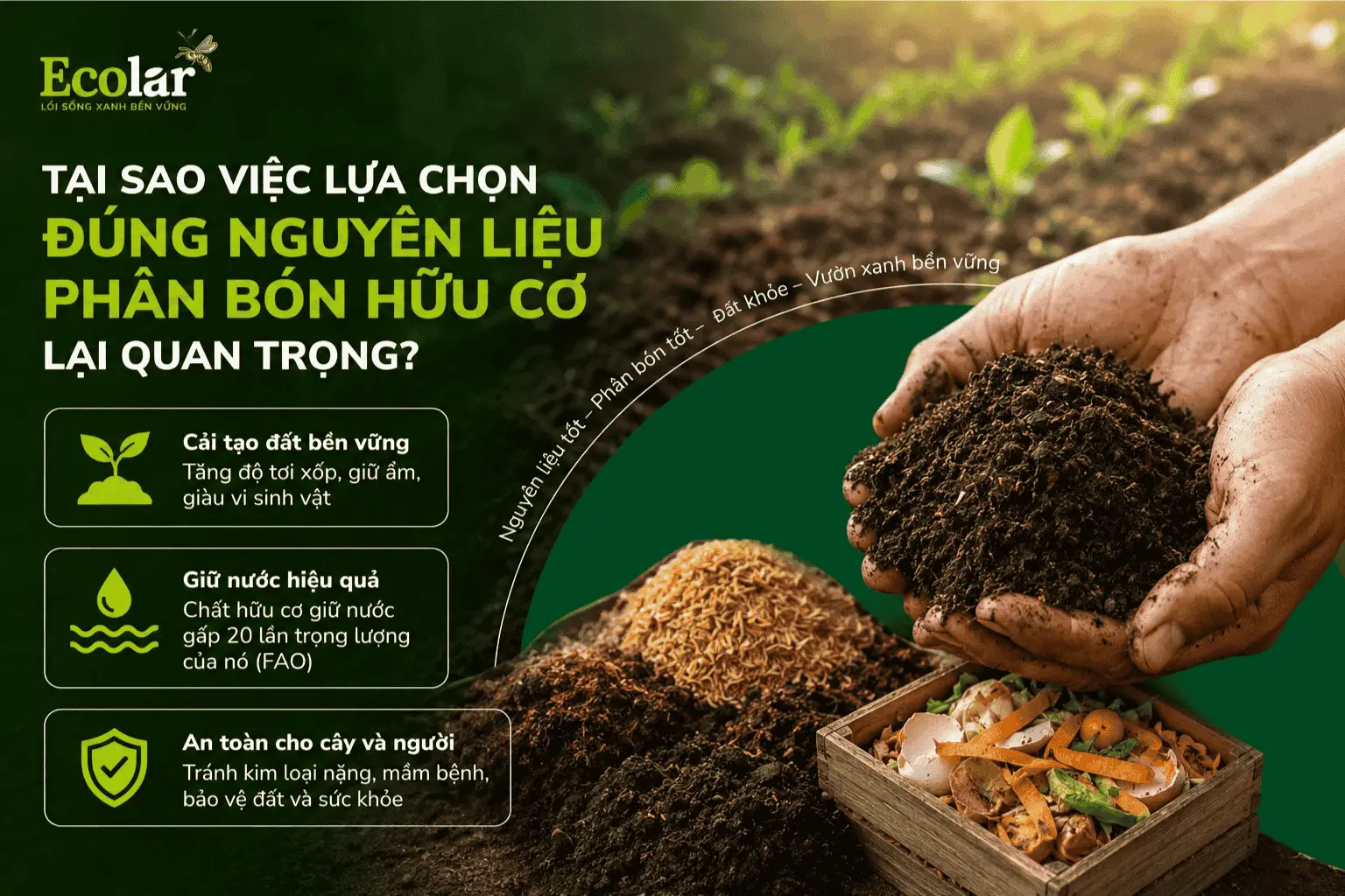 n-lieu-phan-bon-huu-co-lai-quan-trong_1652f93fa58d44e2a55a3bab57efec04 (1).webp
