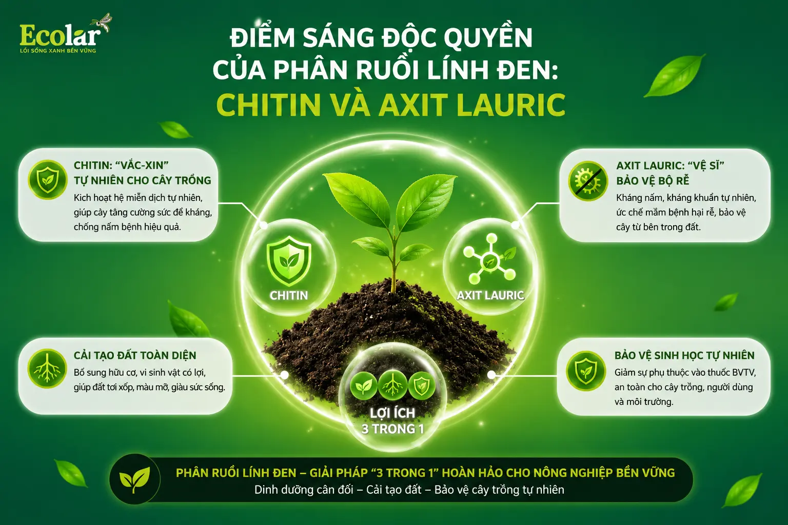n-ruoi-linh-den-chitin-va-axit-lauric_6d01078d8ad9442dba532525333bea64.webp