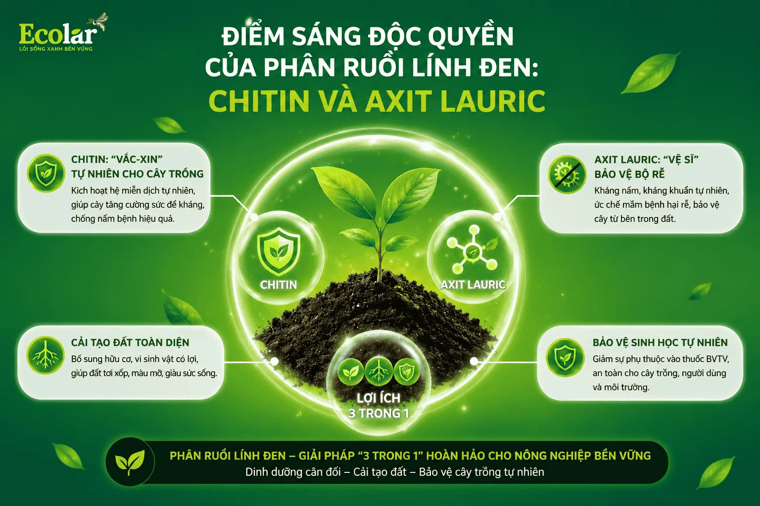 n-ruoi-linh-den-chitin-va-axit-lauric_6d01078d8ad9442dba532525333bea64.webp
