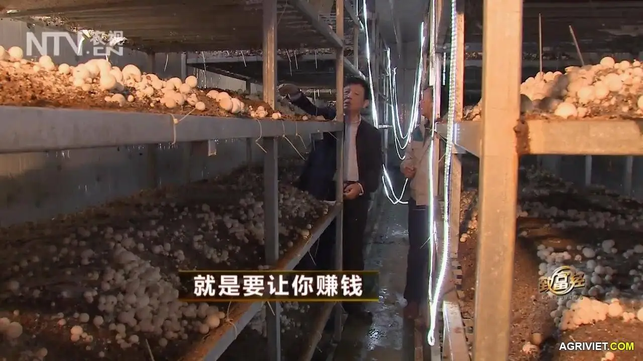 Nam Rom 20141218 . 2 (25).webp