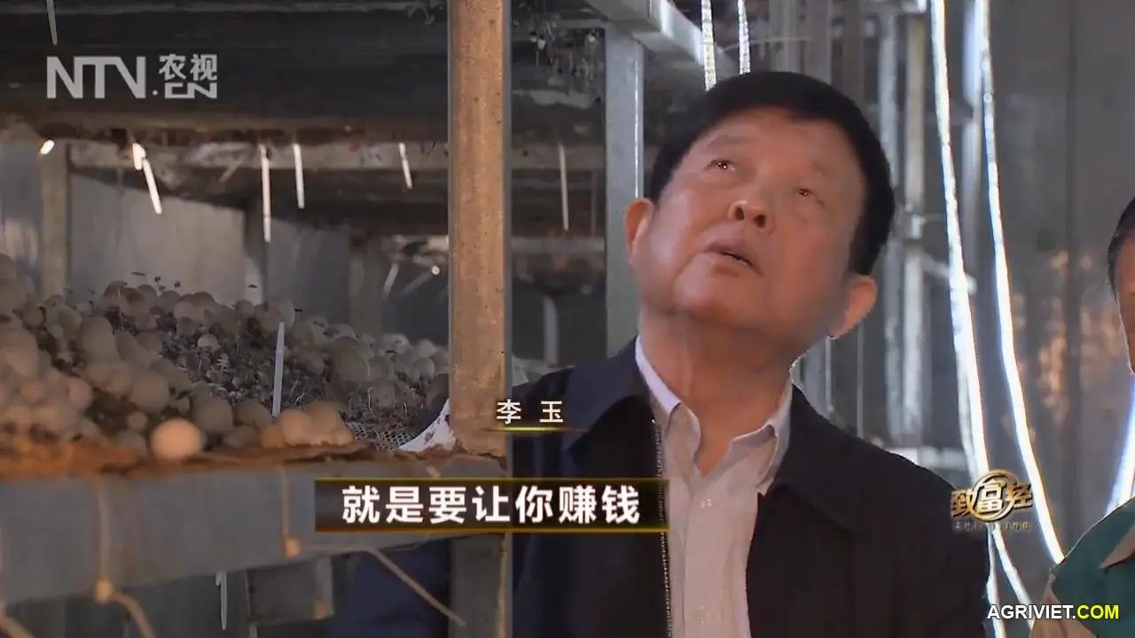 Nam Rom 20141218 . 2 (26).webp