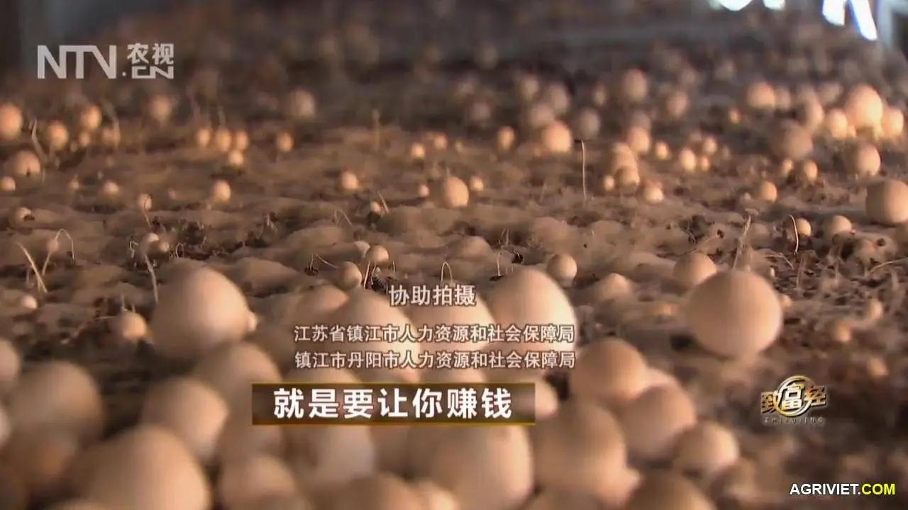 Nam Rom 20141218 . 2 (33).webp