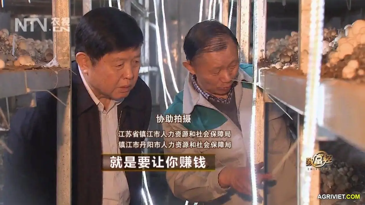 Nam Rom 20141218 . 2 (35).webp