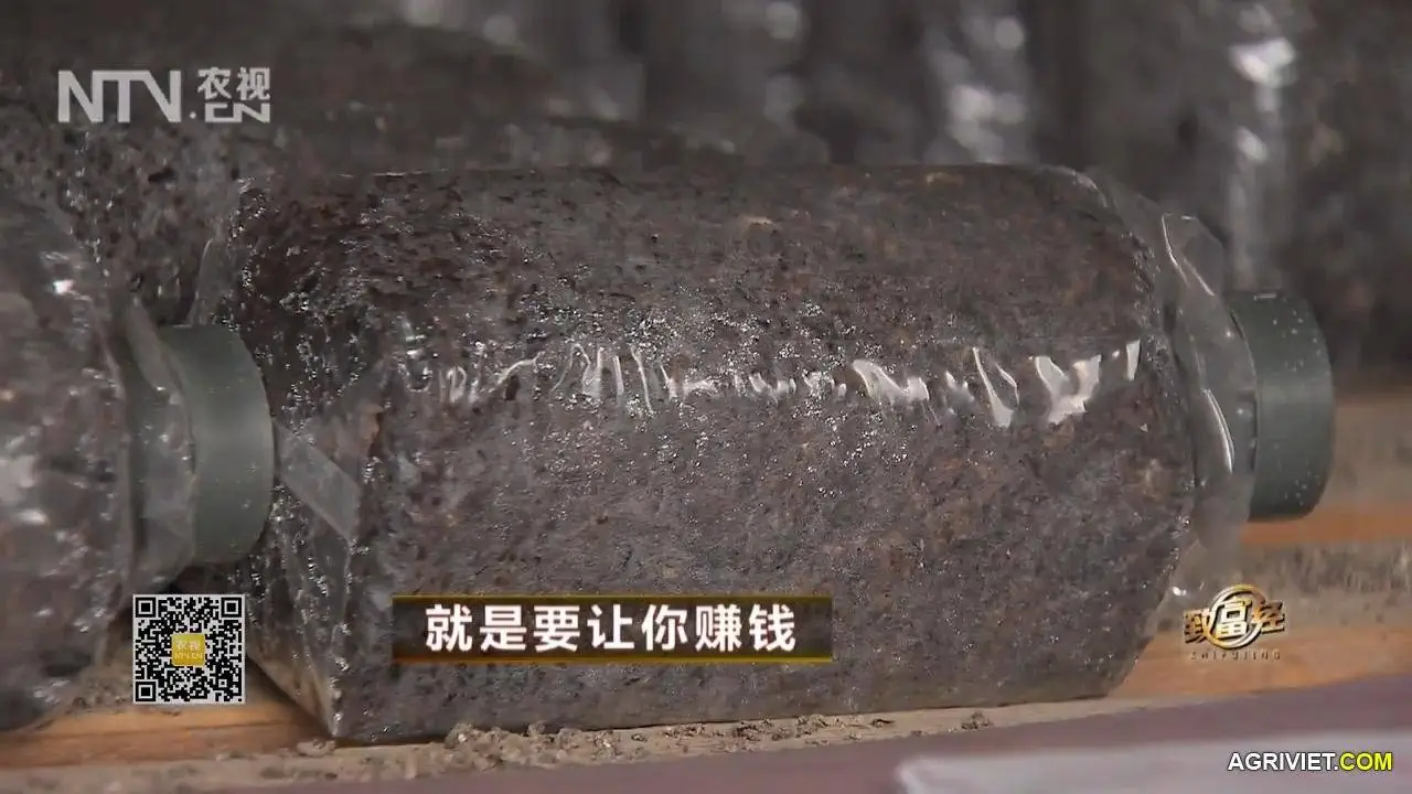 Nam Rom 20141218  (29).webp