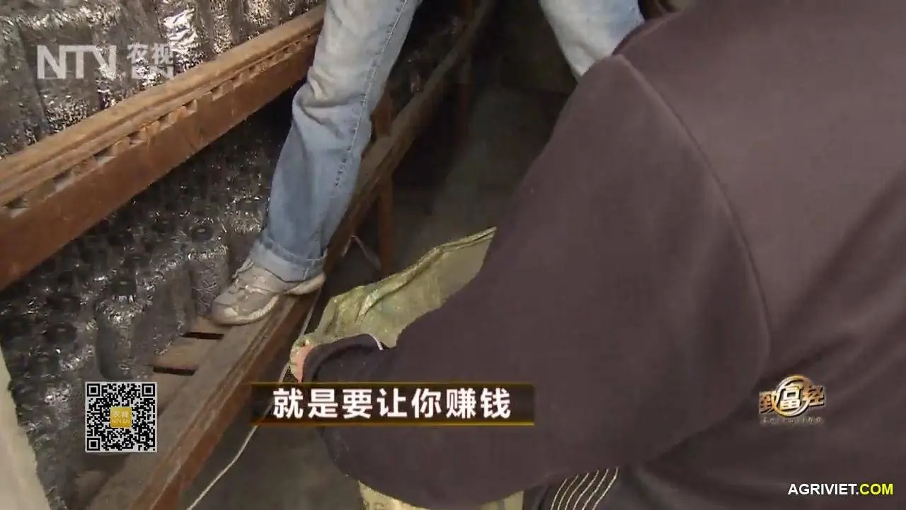 Nam Rom 20141218  (31).webp