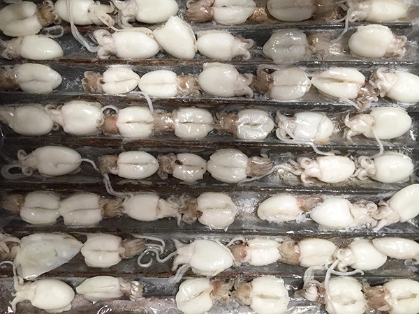 nang cấp đông.webp