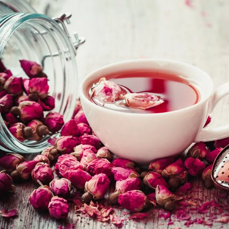 National Peace Rose Day.webp