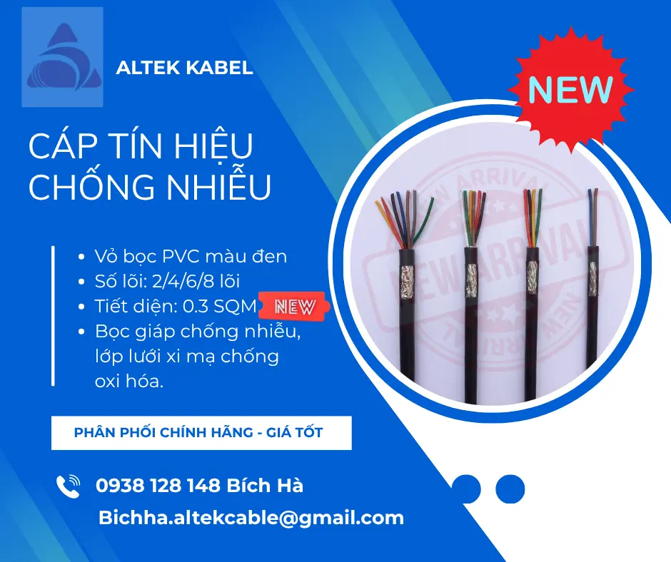 new.webp