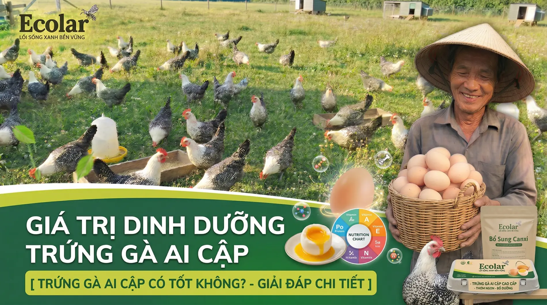 ng-ga-ai-cap-co-tot-khong-danh-gia-dinh-duong-an-toan-va-cach-chon-mua_ab88497d3b8643278edd47...webp