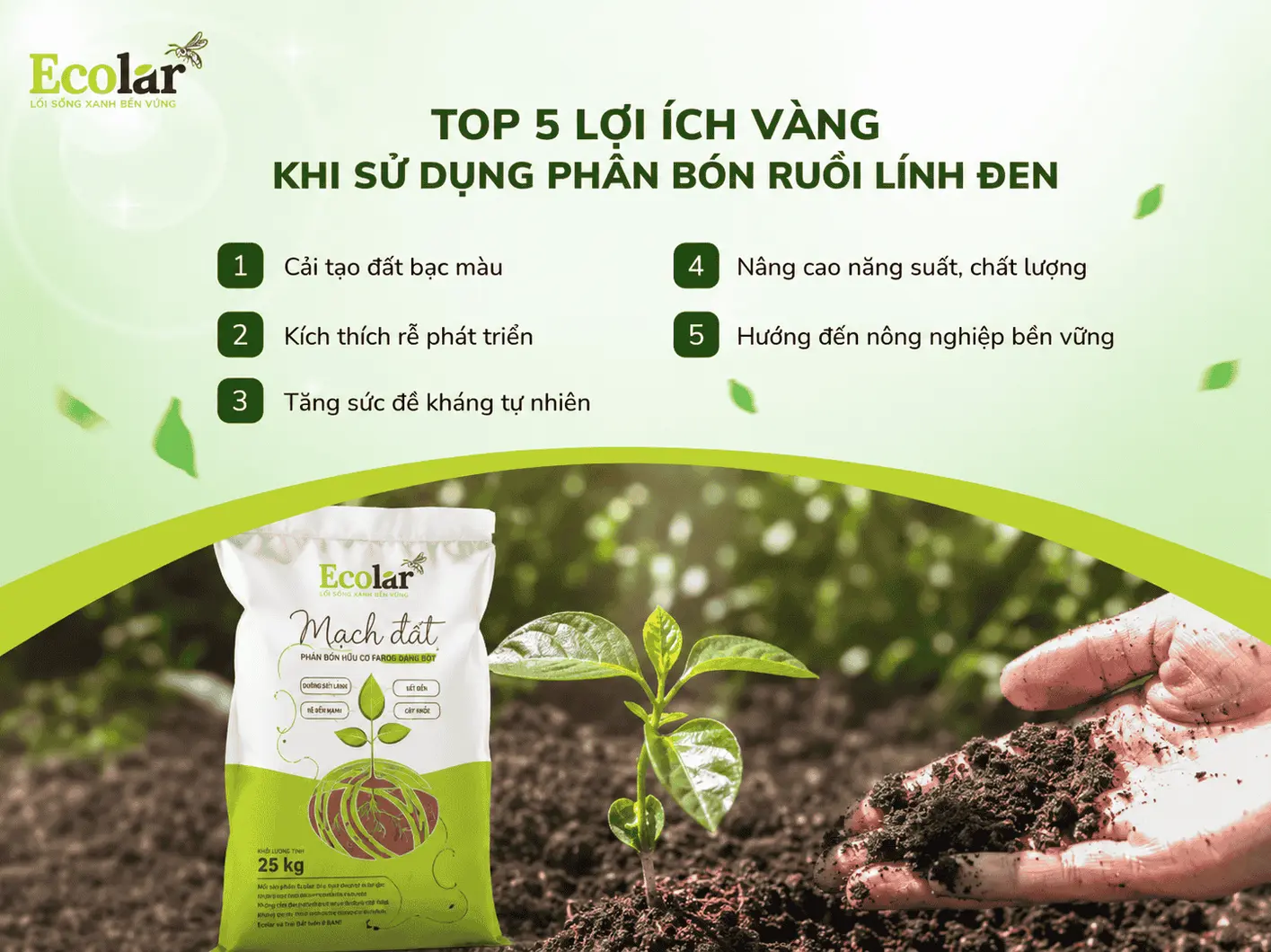 ng-khi-su-dung-phan-bon-ruoi-linh-den_b206bbac33af45918994a932798336ad (1).webp