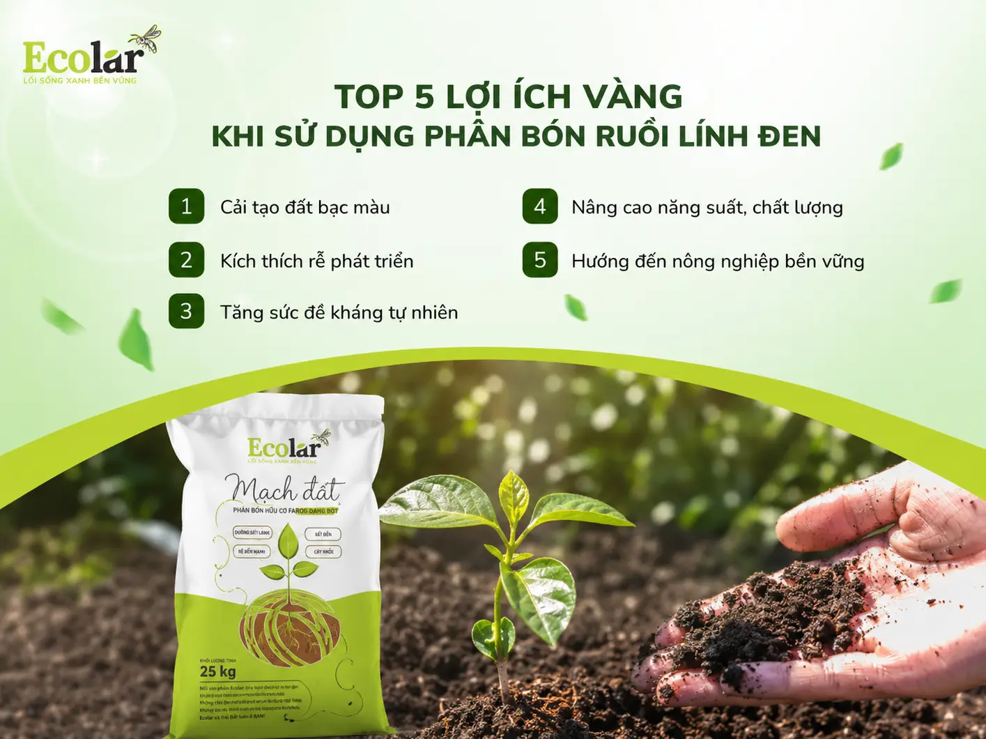 ng-khi-su-dung-phan-bon-ruoi-linh-den_b206bbac33af45918994a932798336ad.webp