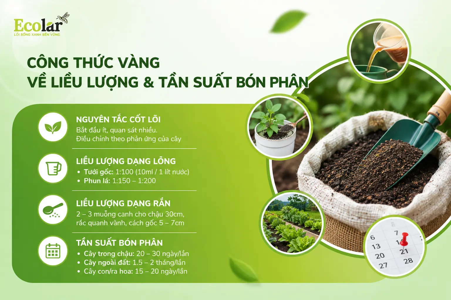 ng-ve-lieu-luong-va-tan-suat-bon-phan_c3868da64bac4713aa178f9537d39891.webp
