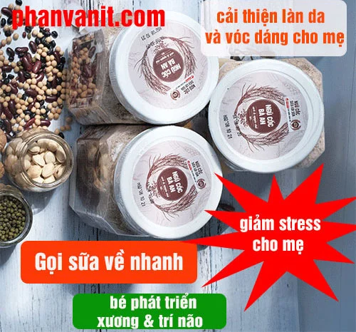 ngu-coc-loi-sua-ba-an.webp ngu-coc-loi-sua-ba-an.webp