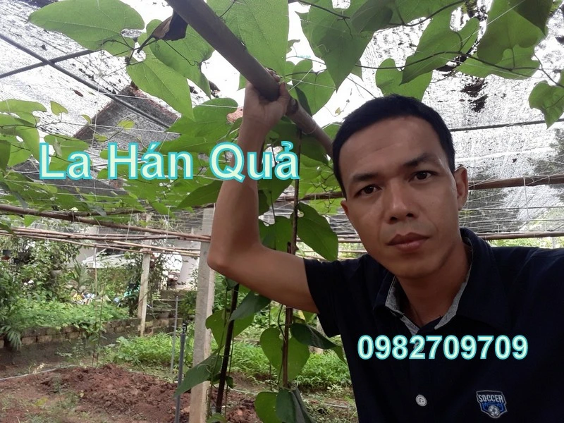 Nguyen ngoc tu (4).webp