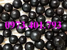 nho thaan go3_result.webp