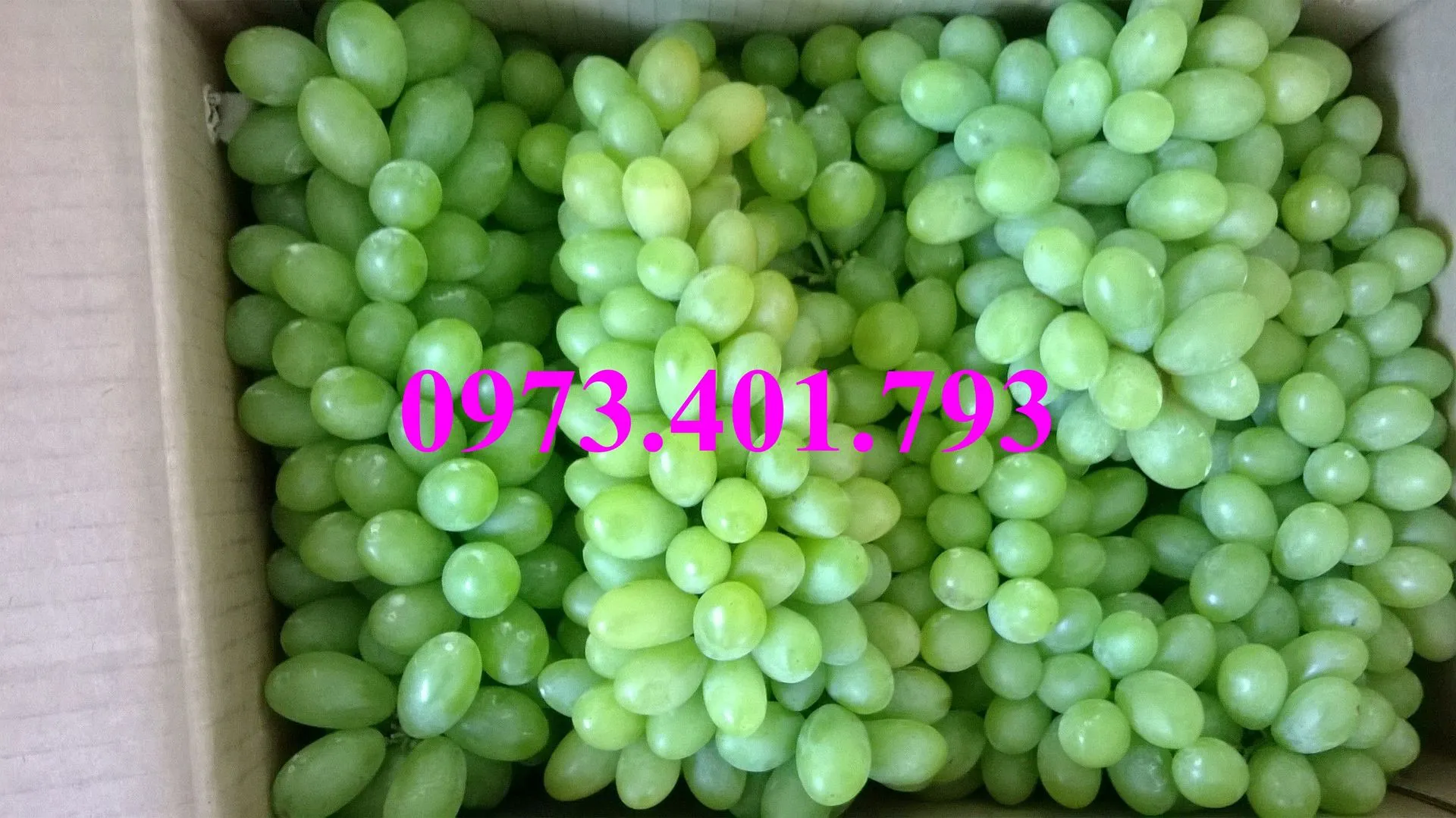 nho xanh1_result.webp