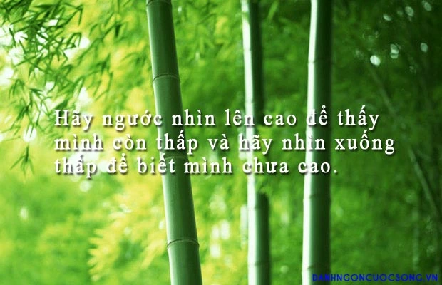 nhung-danh-ngon-cuoc-song-hay-va-y-nghia-nhat-moi-thoi-dai-5.webp