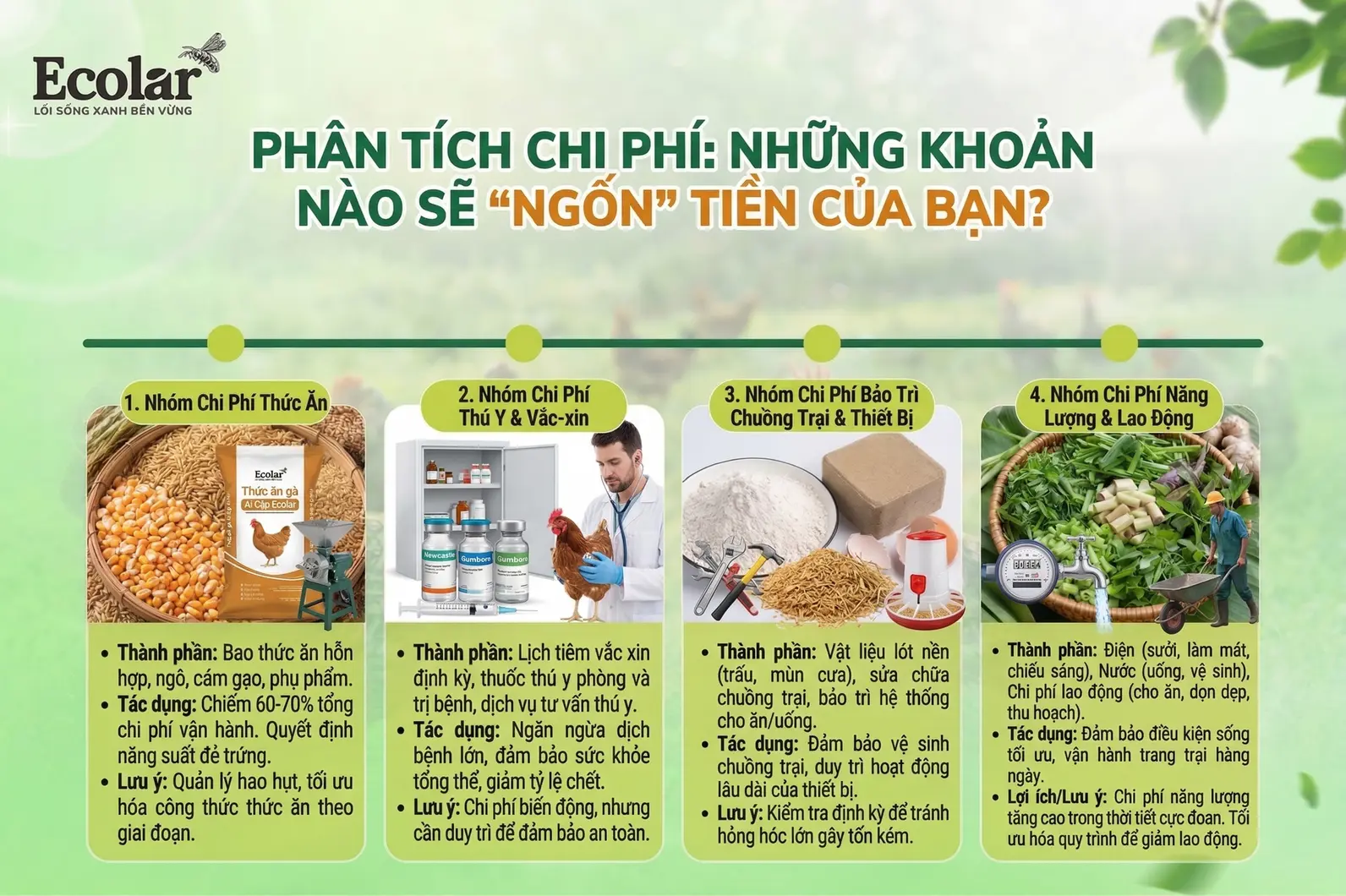 -nhung-khoan-nao-se-ngon-tien-cua-ban_2aaf317caba147049e475a5b2a8a4e96.webp