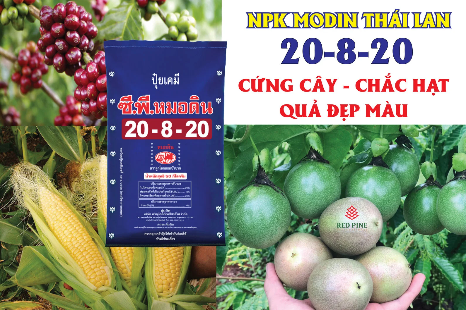 NPK 20-8-20-01-01.webp