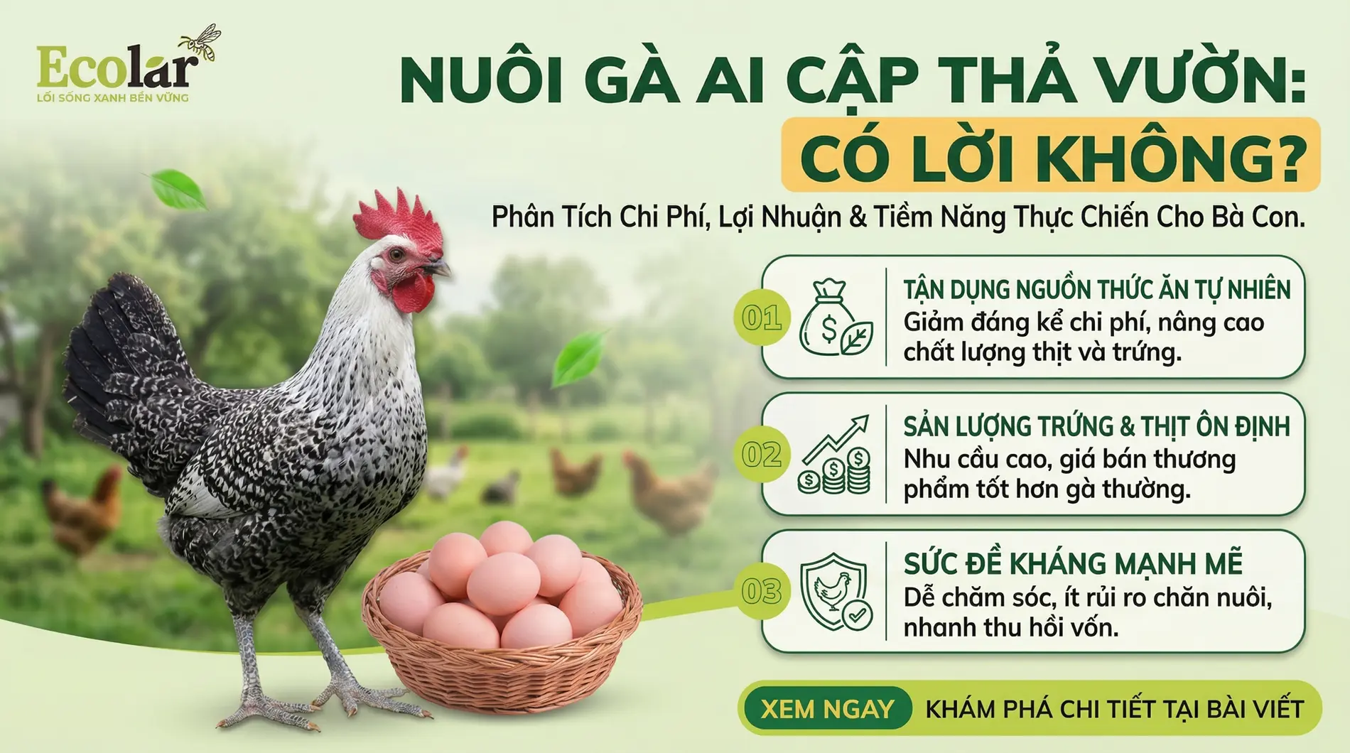 nuoi-ga-ai-cap-tha-vuon-co-loi-nhuan-khong-bai-toan-thuc-te_7efa694c798f4bdd9697d43885d10701.webp