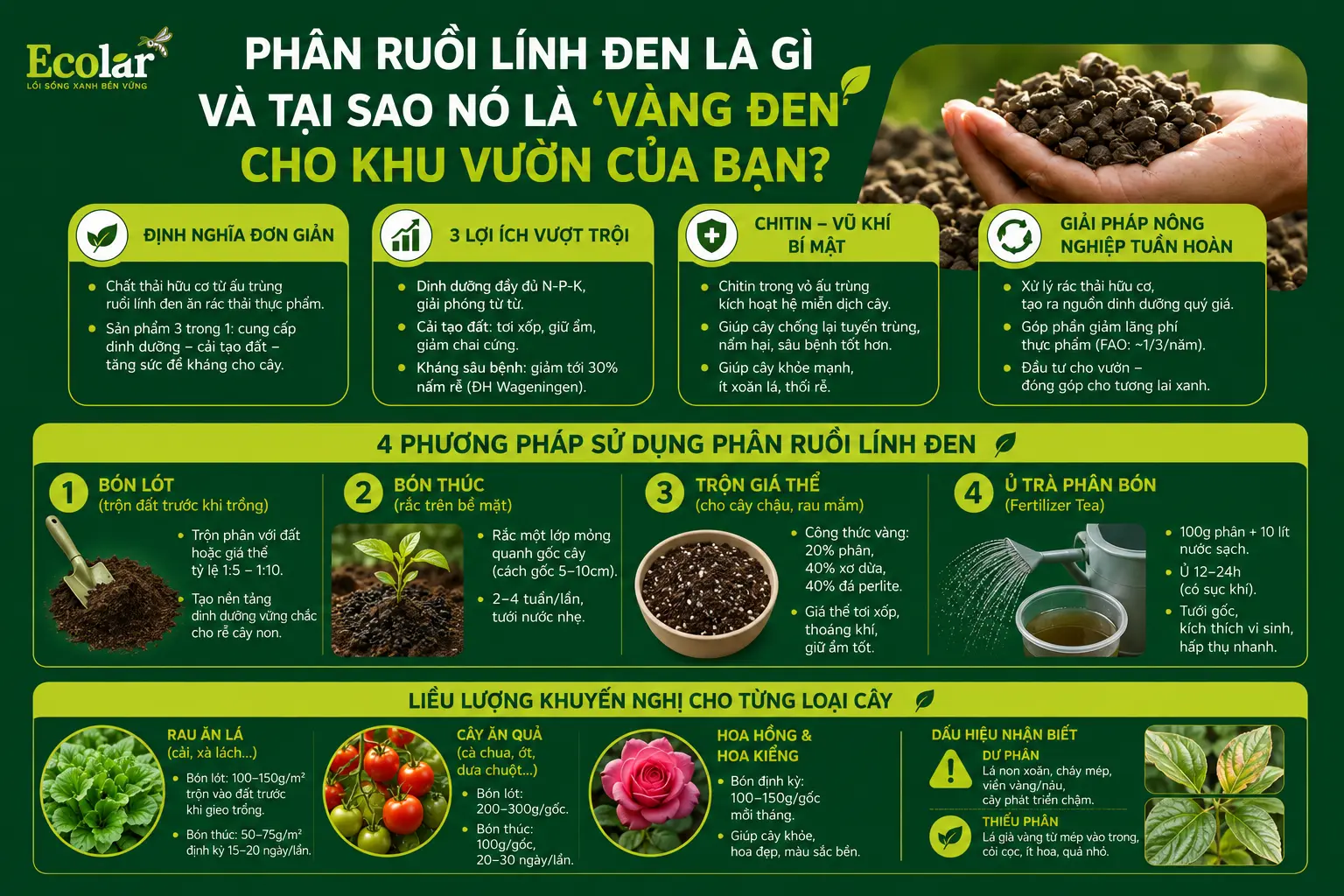 o-no-la-vang-den-cho-khu-vuon-cua-ban_fb9cb7e7690c474da07fca6daebdc422.webp