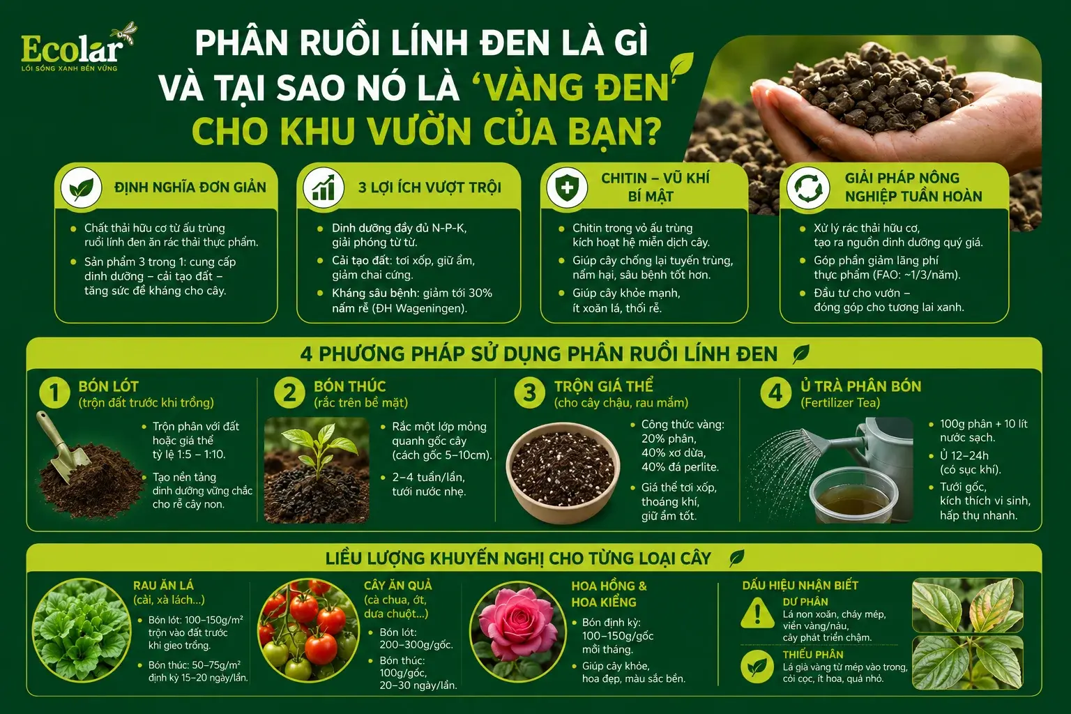 o-no-la-vang-den-cho-khu-vuon-cua-ban_fb9cb7e7690c474da07fca6daebdc422.webp