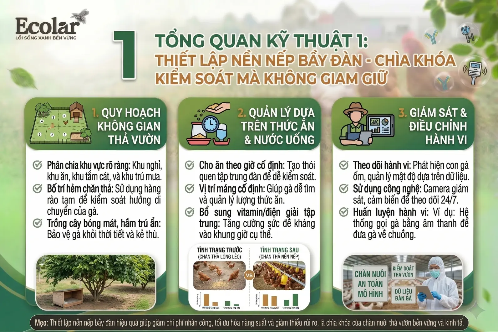 oa-de-kiem-soat-ma-khong-can-giam-giu_9058fe21e4ee4ba890cb8d6559c09d75.webp