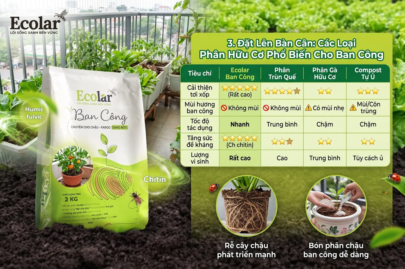 oai-phan-huu-co-pho-bien-cho-ban-cong_2d3d8eaf41754e7d85f7b5329a1d8186.webp