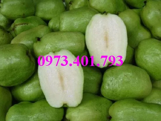 ổi không hạt2_result.webp