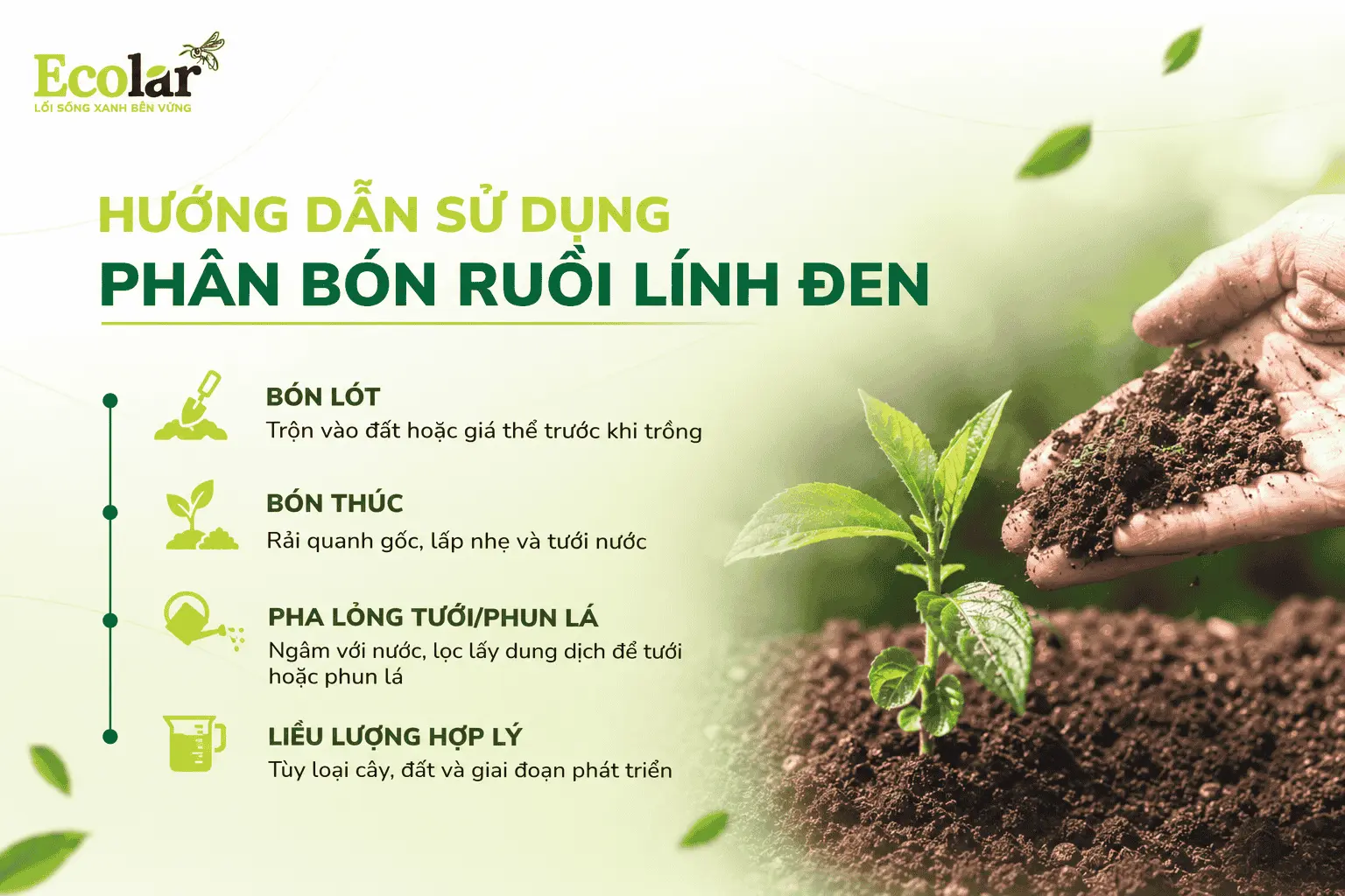 oi-linh-den-dung-cach-toi-uu-hieu-qua_2583635800054e198e9e24785d0e6206 (1).webp