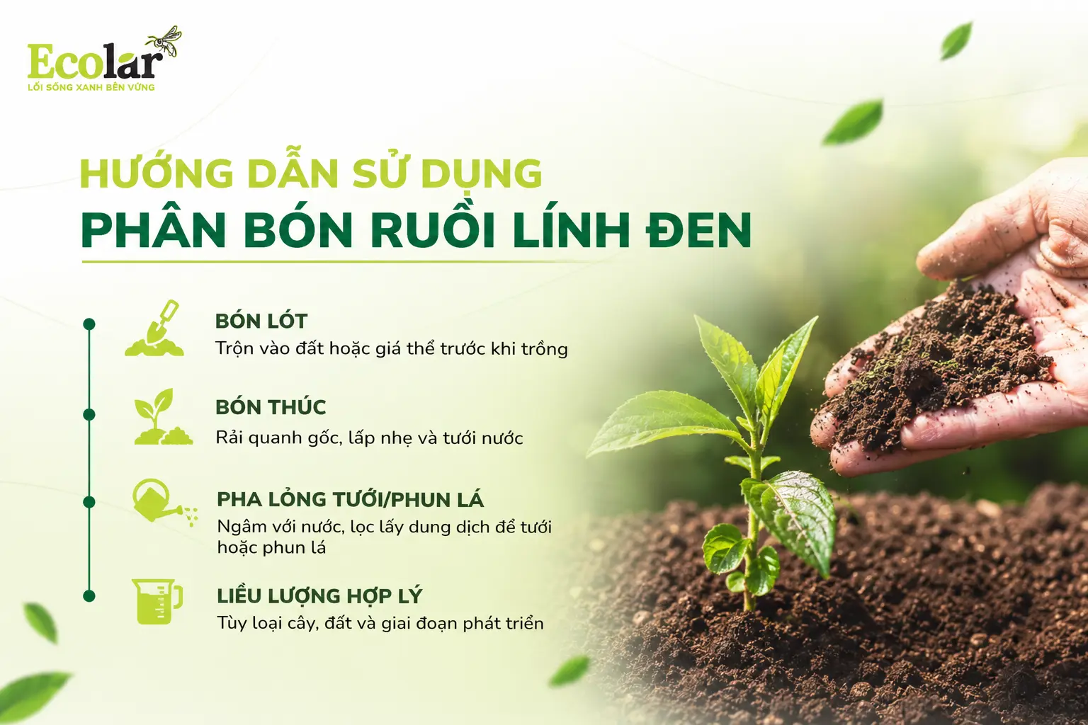 oi-linh-den-dung-cach-toi-uu-hieu-qua_2583635800054e198e9e24785d0e6206.webp