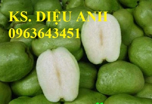 oikhonghat copy.webp