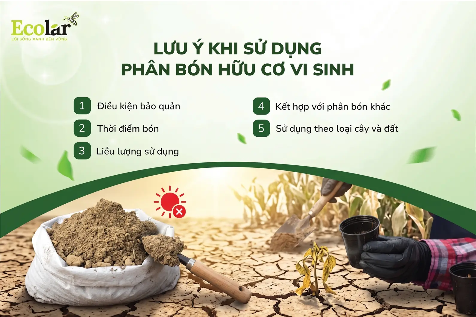 on-khi-dat-qua-kho-hoac-troi-nang-gat_1d3603a2ac5843cda430b68b1f4b0960.webp